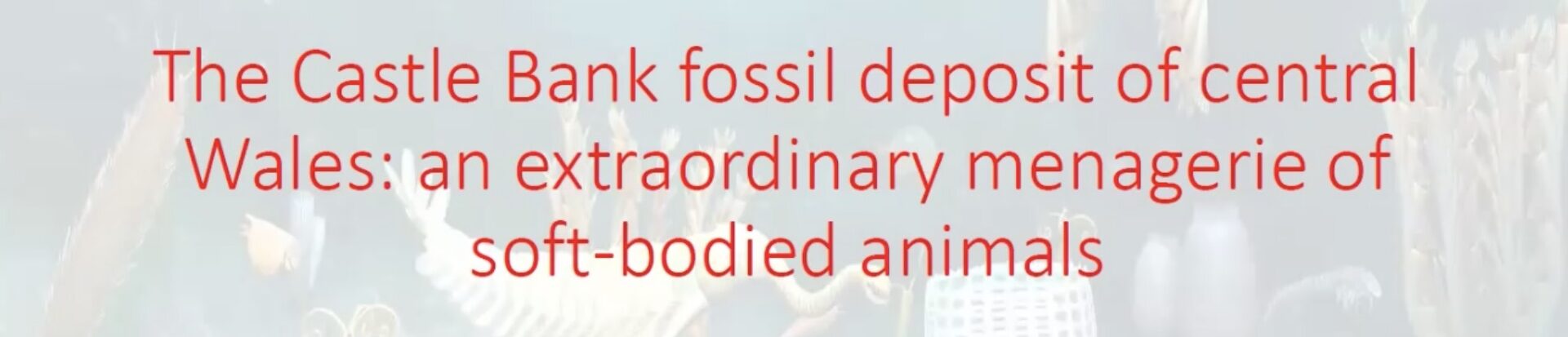 The Castle Bank Biota, title slide from Dr Joe Botting's talk.