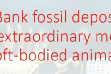 The Castle Bank Biota, title slide from Dr Joe Botting's talk.